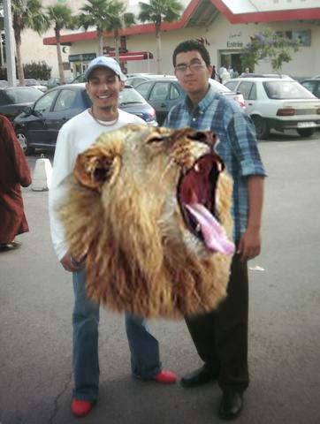 imad+barad